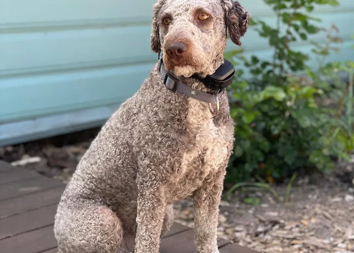 Dom wakacyjny The Seaside Retreat Abula